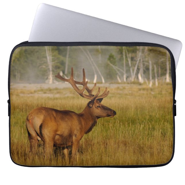 Funda Para Portátil Rocky Mountain Elk | Parque nacional Yellowstone (Frente)