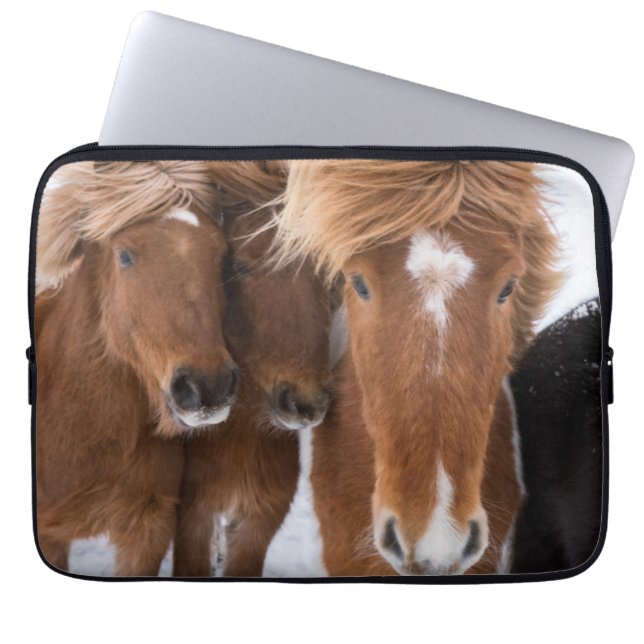 Funda Para Portátil Rompecabezas islandesa de caballos, Islandia (Frente)