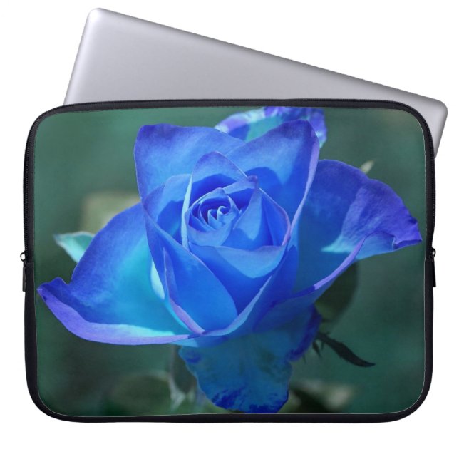Funda para portátil Rosa azul de dos tonos (Frente)