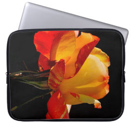 Funda Para Portátil Rosa Naranja Peachy