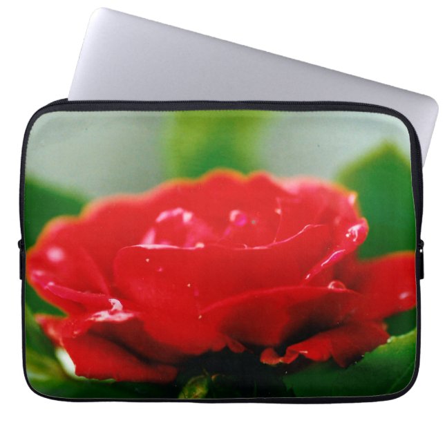 Funda Para Portátil Rosa roja matutina cubierta de rocío (Frente)