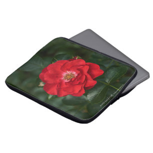 Funda Para Portátil Rosa roja P6568