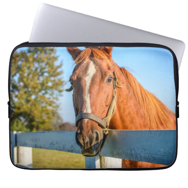 Funda Para Portátil Rosa Twilight | Caballo de Raza Arrojada (Frente)