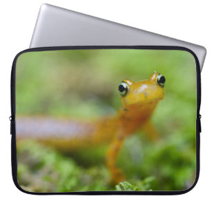 Funda Para Portátil Salamander de Longtail