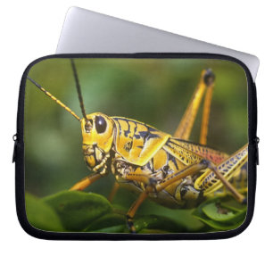Funda Para Portátil Saltamontes, Parque Nacional Everglades, Florida,
