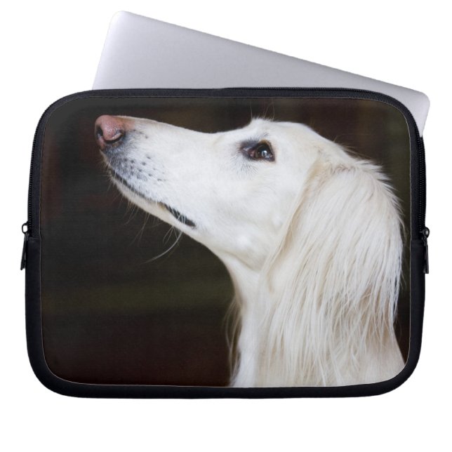Funda Para Portátil Saluki que mira para arriba (Frente)