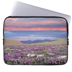 Funda Para Portátil Sand Verbena y Dune Primrose Wildflowers at Sunset