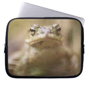 Funda Para Portátil Sapo del día