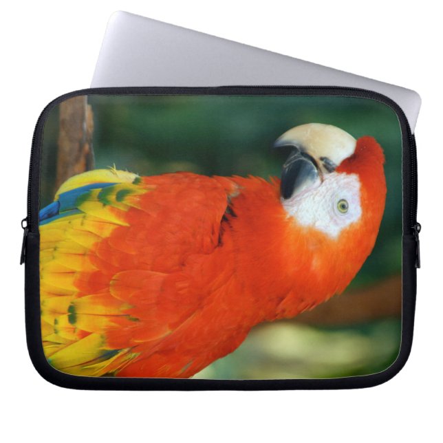 Funda Para Portátil Scarlet Macaw (Frente)
