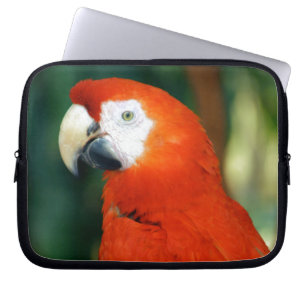 Funda Para Portátil Scarlet Macaw