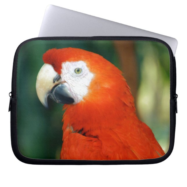 Funda Para Portátil Scarlet Macaw (Frente)