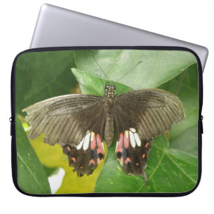 Funda Para Portátil Scarlet Swallowtail Butfly portátil Sleeve