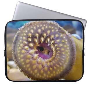 Funda Para Portátil Sea Lamprey Mouth