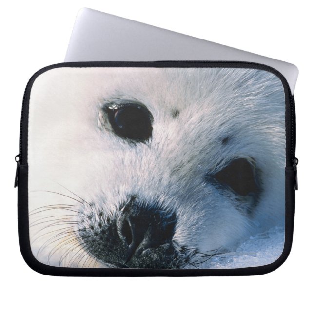 Funda Para Portátil Sello (Frente)