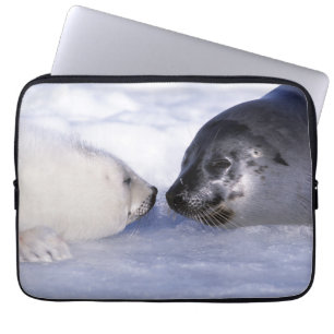 Funda Para Portátil Sello de arpa madre con cachorro