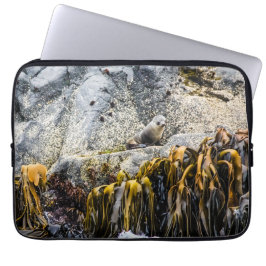 Funda Para Portátil Sello De Piel Joven En La Roca