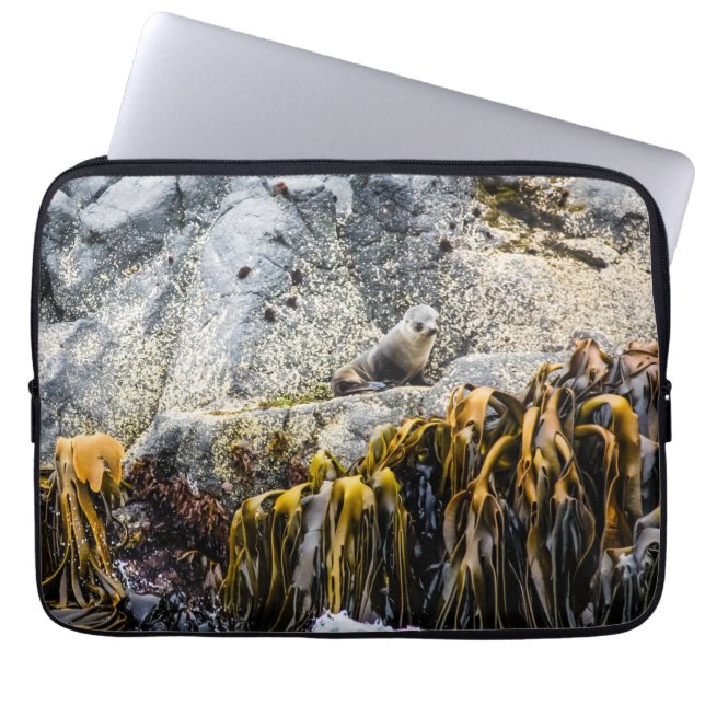 Funda Para Portátil Sello De Piel Joven En La Roca (Frente)