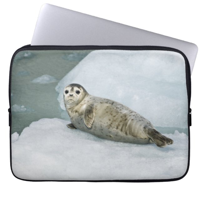 Funda Para Portátil Sello de puerto limpio para la nieve (Frente)