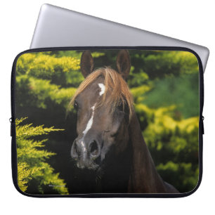 Funda Para Portátil Semental árabe