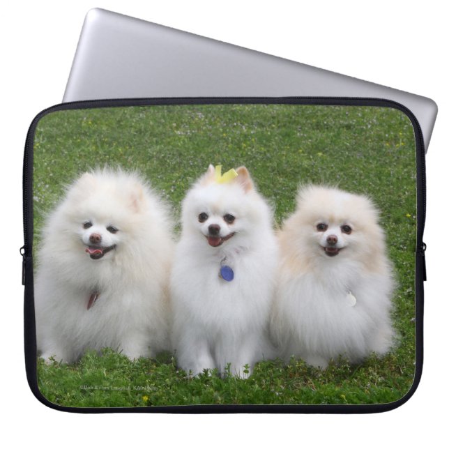 Funda Para Portátil Sentada de 3 Pomeranians (Frente)