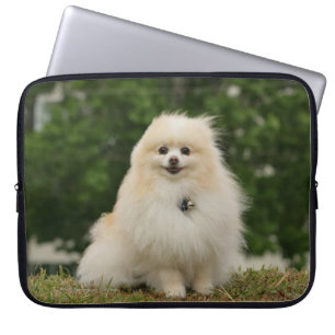 Funda Para Portátil Sentada de Pomeraning