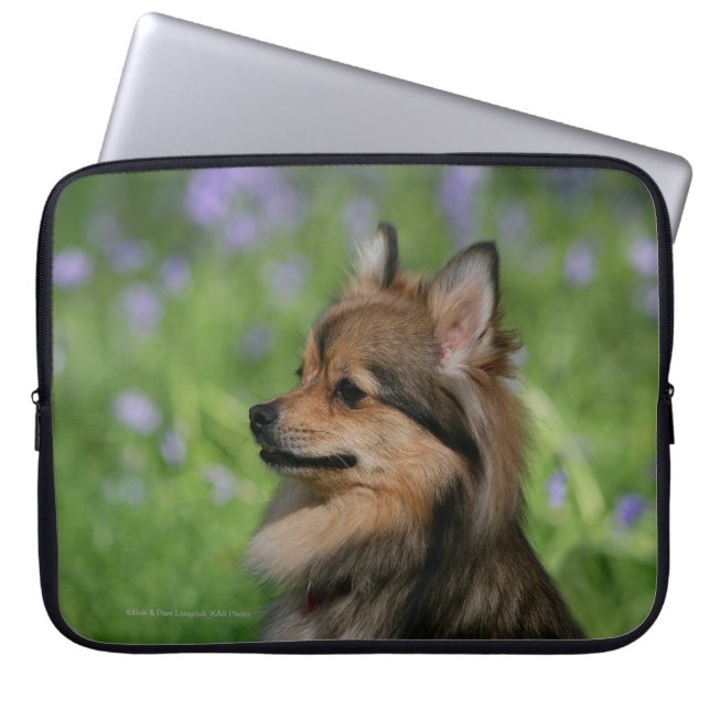 Funda Para Portátil Sentada del Headshot de Pomeranian (Frente)