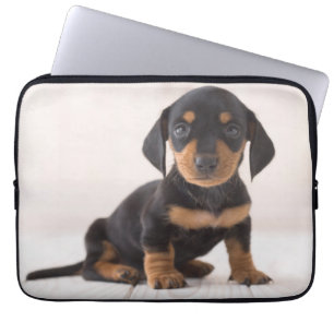 Funda Para Portátil Sentada miniatura del Dachshund