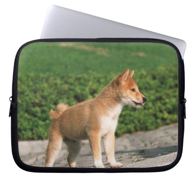 Funda Para Portátil Shiba de mediana japonesa 2 (Frente)