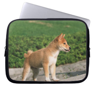 Funda Para Portátil Shiba muy pequeño japonés 2