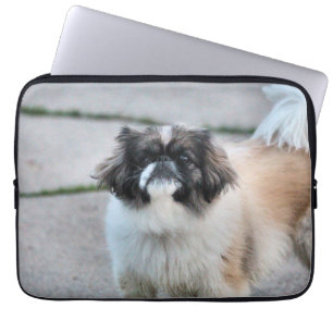 Funda Para Portátil Shih Tzu