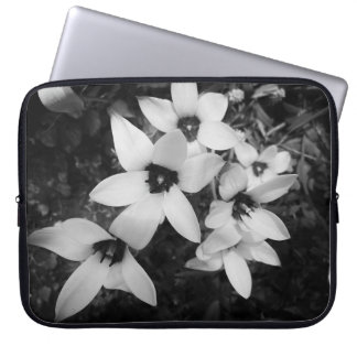Funda Para Portátil Simetría Silenciosa