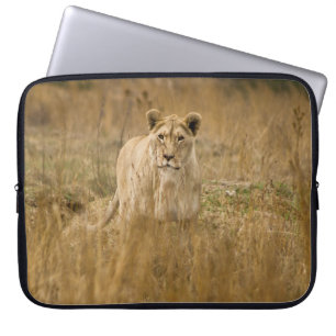 FUNDA PARA PORTÁTIL SIN LONES EN LA GRASA