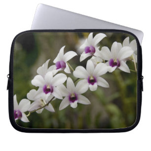 Funda Para Portátil Singapur (sánscrito para Ciudad León). Nacional 2