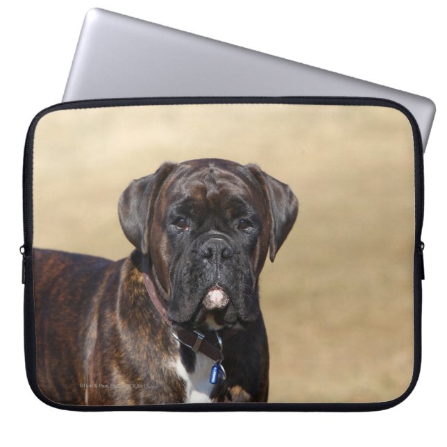 Funda Para Portátil Situación Brindle del perro del boxeador (Frente)
