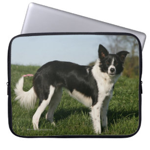 Funda Para Portátil Situación del border collie
