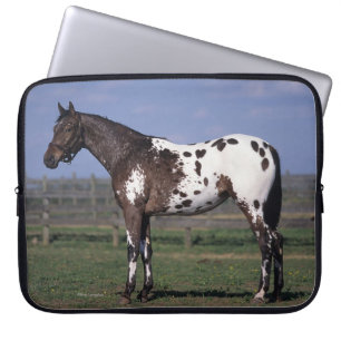 Funda Para Portátil Situación del caballo del Appaloosa