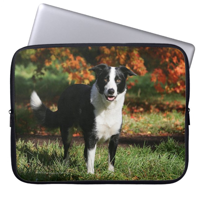 Funda Para Portátil Situación del otoño del border collie (Frente)