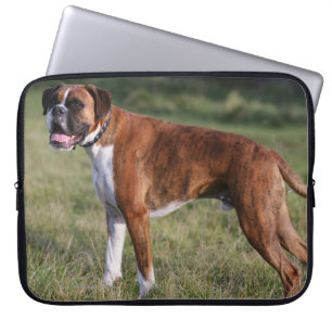 Funda Para Portátil Situación del perro del boxeador