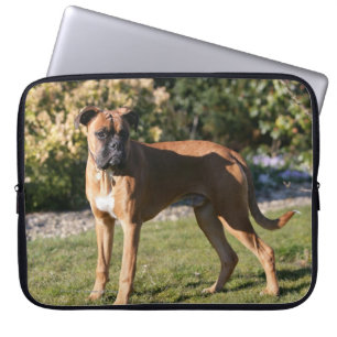 Funda Para Portátil Situación del perro del boxeador del cervatillo