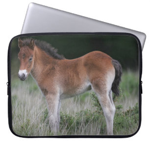 Funda Para Portátil Situación del potro