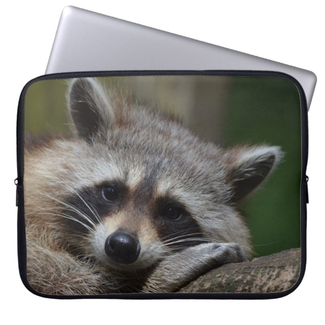 Funda Para Portátil Sleepy Raccoon (Frente)