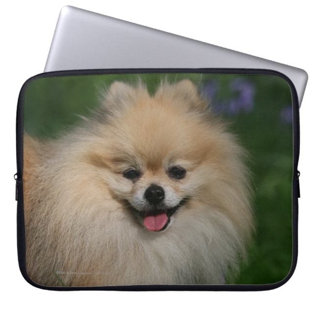 Funda Para Portátil Sonrisa de Pomeranian (Frente)