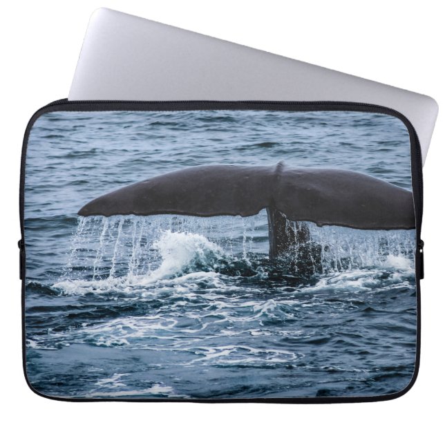 Funda Para Portátil Sperm Whale (Frente)