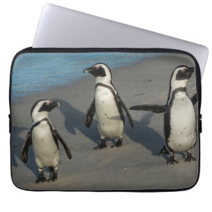 Funda Para Portátil Spheniscus africano Demersus de los pingüinos el  