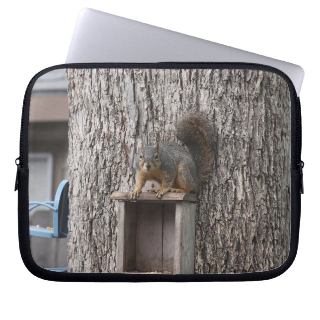 Funda para portátil Squirrel (Frente)
