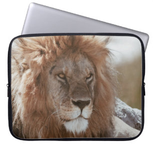 FUNDA PARA PORTÁTIL SR. LION