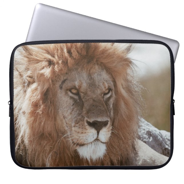 FUNDA PARA PORTÁTIL SR. LION (Frente)