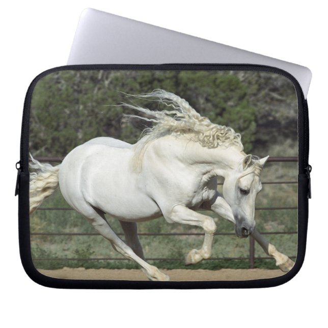 Funda Para Portátil Stallion andaluz en ejecución, PR (Frente)