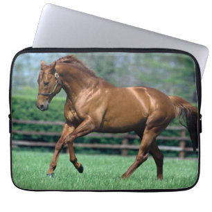 Funda Para Portátil Stallion arado, Irlanda