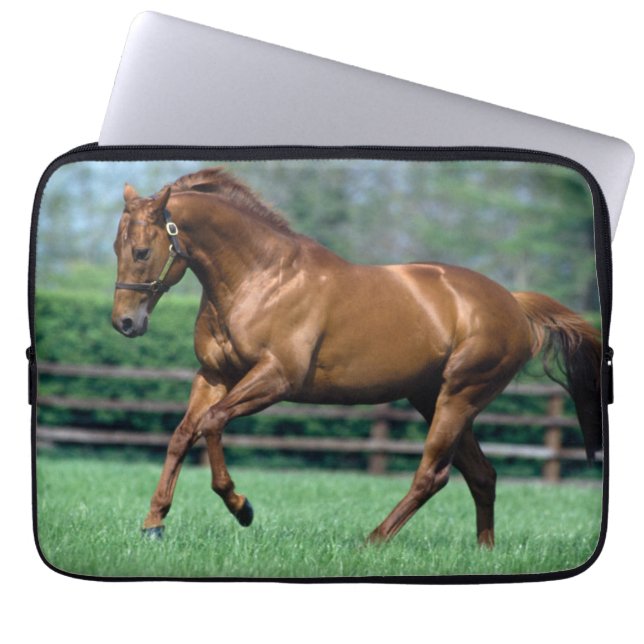 Funda Para Portátil Stallion arado, Irlanda (Frente)